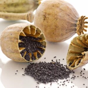 Poppy Seed: Nutrient-rich seed high in calcium and magnesium; used in baking and for mild sedative effects.