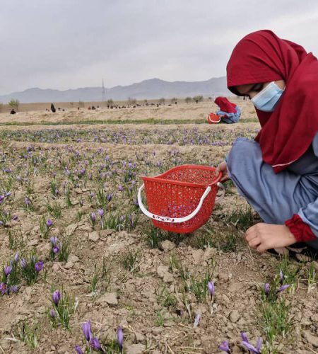 photo_1_2025-06-04_22-50-20