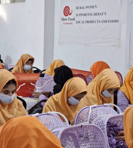 photo_2_2025-06-04_22-50-20